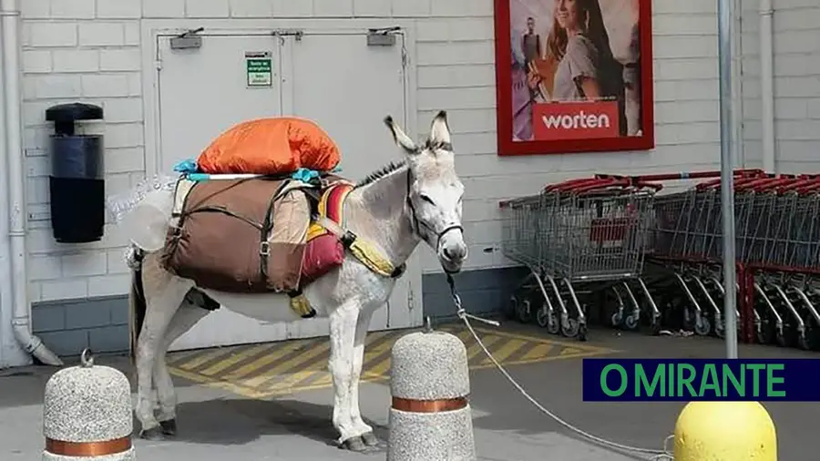 Não sejam burros Não sejam burros