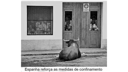APANHADOS NA REDE APANHADOS NA REDE