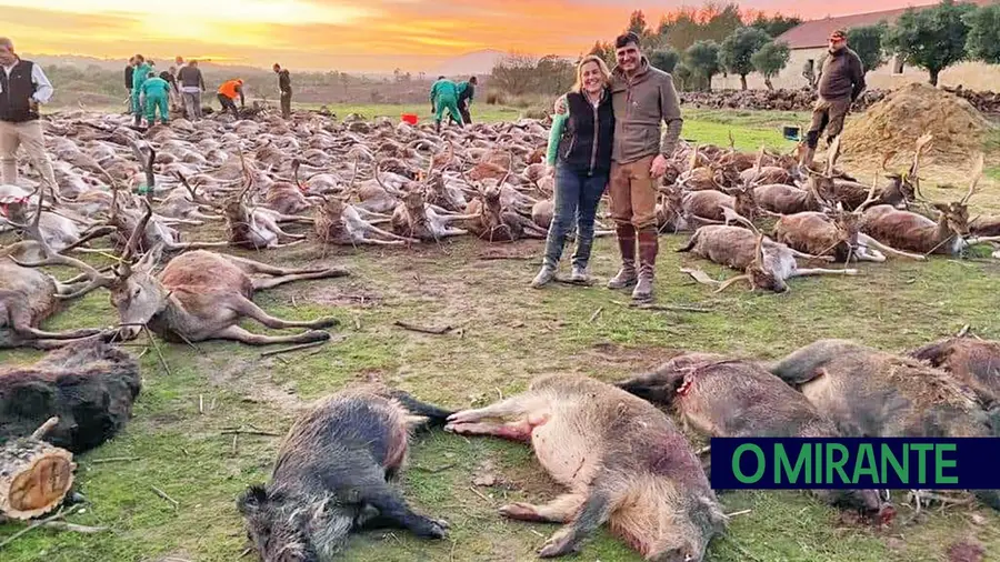 Massacre de animais na Quinta da Torre Bela Massacre de animais na Quinta da Torre Bela