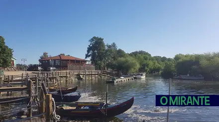 proTejo defende que ministro do Ambiente exija explicações a Espanha por poluição no Tejo proTejo defende que ministro do Ambiente exija explicações a Espanha por poluição no Tejo