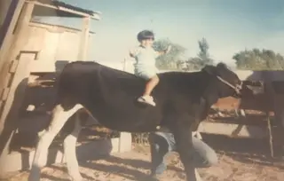 Tiago Gomes, com três anos, em cima de uma vaca
