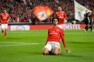 A “euforia” João Félix