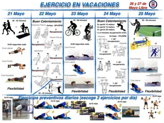 Figura 1A
