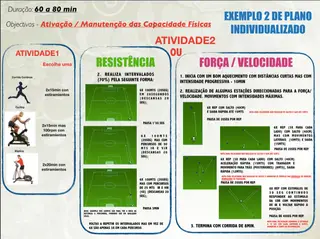 Figura 2B