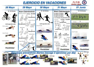 Figura 1B