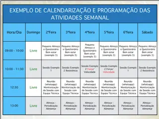 Quadro 1. Planeamento de carácter semanal