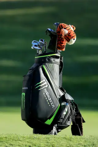 O tigre de Tiger