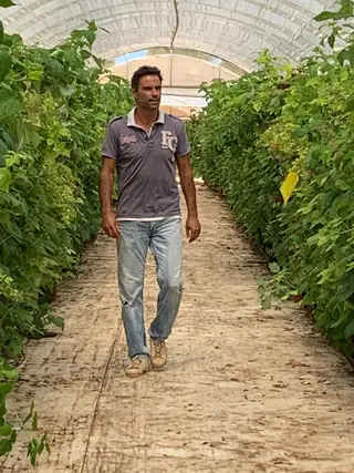 Luís Filipe na sua estufa de framboesas, no Algarve