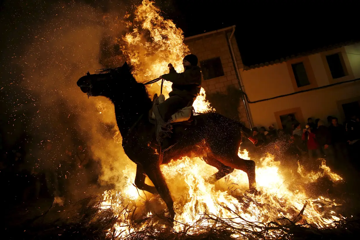Um cavalo no meio das chamas, durante as "Luminarias", uma celebração religiosa que se realiza anualmente na véspera do Dia de Santo António, nos arredores de Madrid, em Espanha. De acordo com a tradição, que se cumpre há quase 500 anos, as pessoas percorrem a cavalo as pequenas ruas da vila de San Bartolomé de Pinares para purificar os animais com o fumo dos fogos. A data explica-se com o facto de António ser considerado o santo padroeiro dos animais.