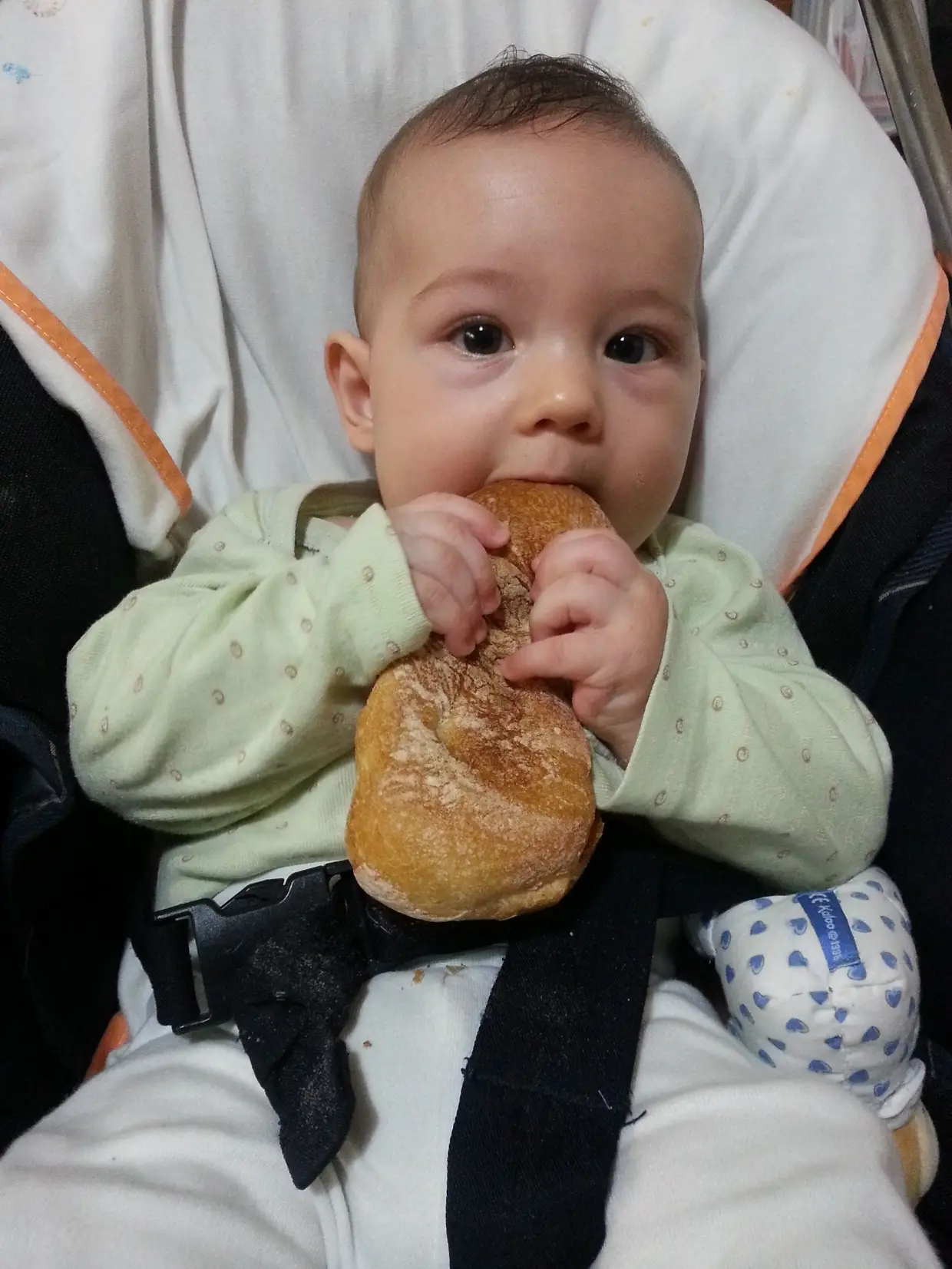 Duarte Alvarinho (na foto 6 meses) Atualmente 20 meses