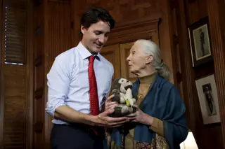2016 - Jane Goodall e Jubilee num encontro com o primeiro-ministro do Canadá, Justin Trudeau, no Parlamento da cidade de Ottawa.