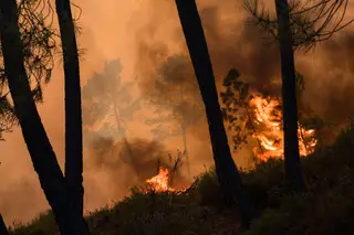 Presumível incendiária de Castelo Branco ficou em prisão preventiva