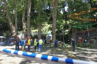 Queda de árvore na Madeira. Acusados vão responder por 13 crimes