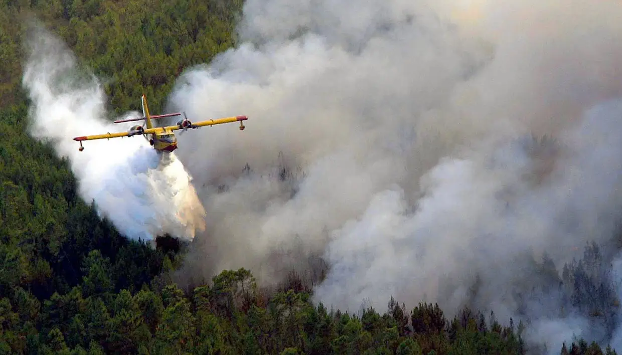 2003: Os grandes incêndios que este ano assolaram o país de norte a sul provocaram um total de 21 mortos, incluindo dois especialistas chilenos, que morreram num incêndio na Chamusca.