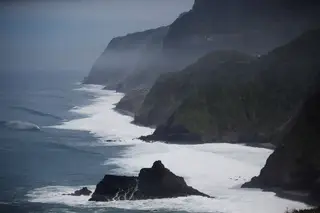 Crostas de plástico podem vir a ser uma nova categoria de lixo marinho