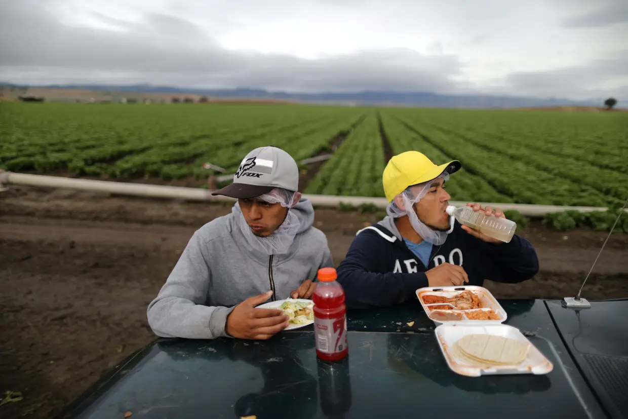 Abril - Trabalhadores mexicanos numa pausa para almoço numa exploração agrícola na Califórnia. A política de imigração e a construção de um muro ao longo de toda a fronteira entre o México e os EUA foram dois temas polémicos no arranque do mandato de Trump.