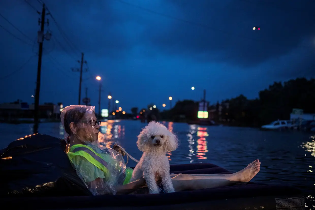 Agosto - Mulher aguarda com o seu animal de estimação a chegada de um helicópter os retire das águas que inundam Houston, Texas, após a passagem da tempestade tropical Harvey.