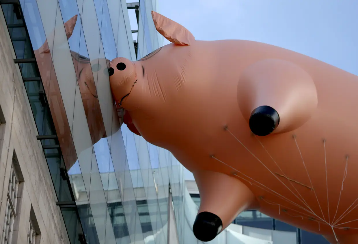 Porco insuflável gigante usado para promover uma exposição sobre a banda britânica Pink Floyd no V&A Museum, em Londres.