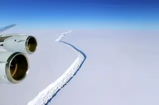 Cientistas investigam vida marinha em iceberg gigante
