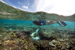 Apenas 3% dos ecossistemas permanecem intactos na terra