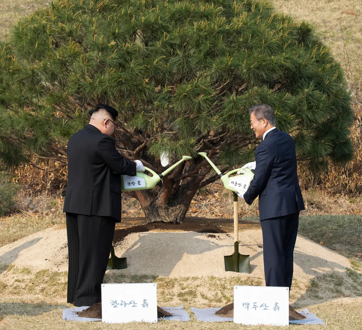 O líder norte-coreano Kim Jong Un e o Presidente sul-coreano Moon Jae-in usaram terra e água dos dois países para plantarem um pinheiro - como símbolo de paz - no primeiro encontro histórico que mantiveram hoje, 27 de abril de 2018, no Paralelo 38.