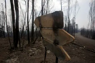 Plano contra incêndios de Pedrógão Grande ignorava tragédia de 2017