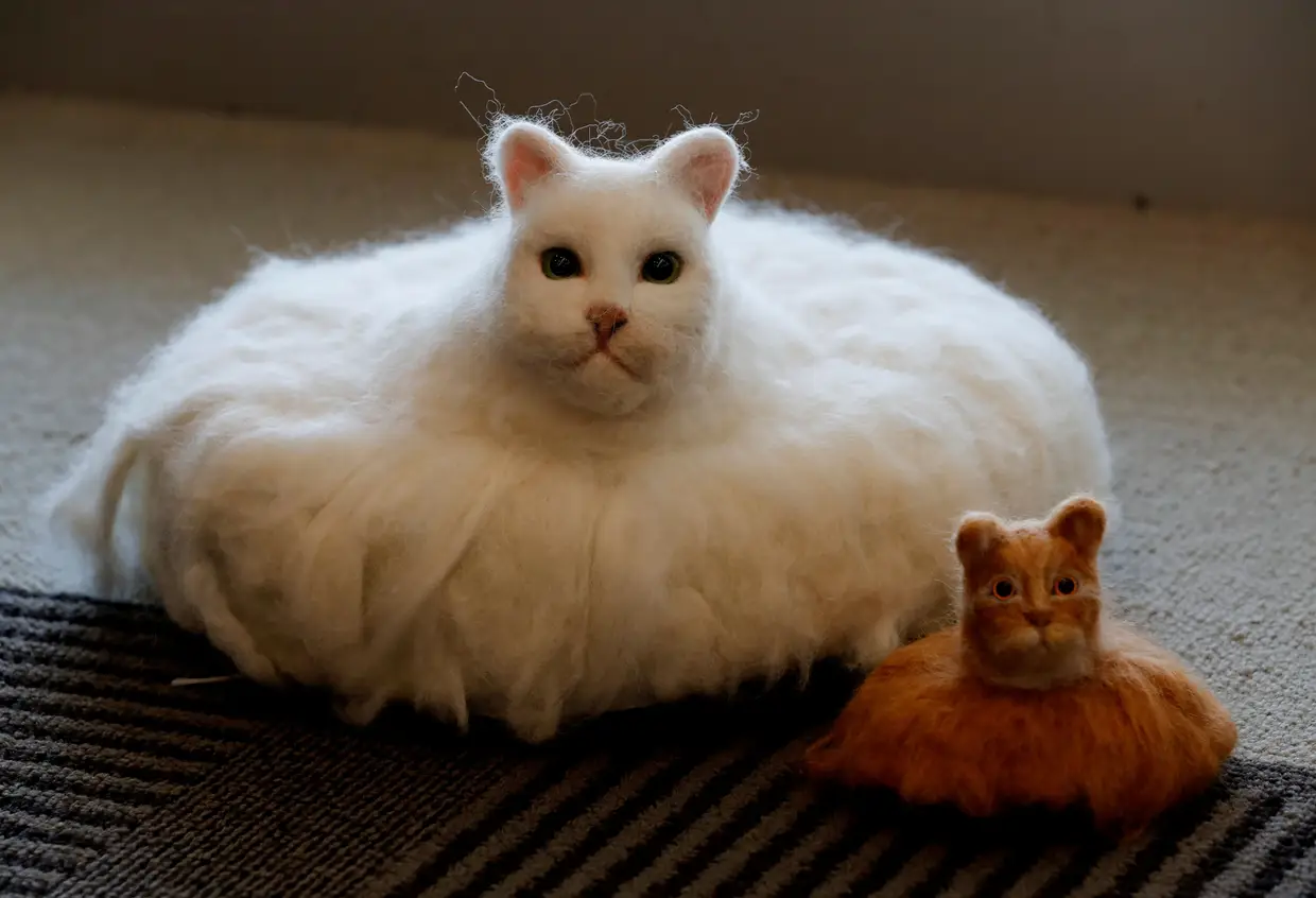 Dois gatos-robô, o Ballon (balão) e o Cleaner (limpador), criados pelo japonês Daiki Sako, que decidiu combinar um robô de limpeza com a cabeça e o pêlo de um gato, inspirado pelo vídeo "Welcome to Kitty City" (https://www.youtube.com/watch?v=jX3iLfcMDCw)