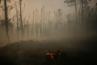 11 distritos do país em alerta amarelo devido ao risco de incêndio