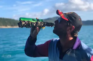Mensagem de marinheiro apaixonado chega à Austrália