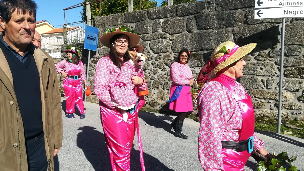 Para os habitantes da União das Freguesias de Covas e Vila Nova de Oliveirinha a Festa das Camélias foi importante para "dar um pouco de cor" a uma terra fustigada pelos incêndios. Março de 2018.
