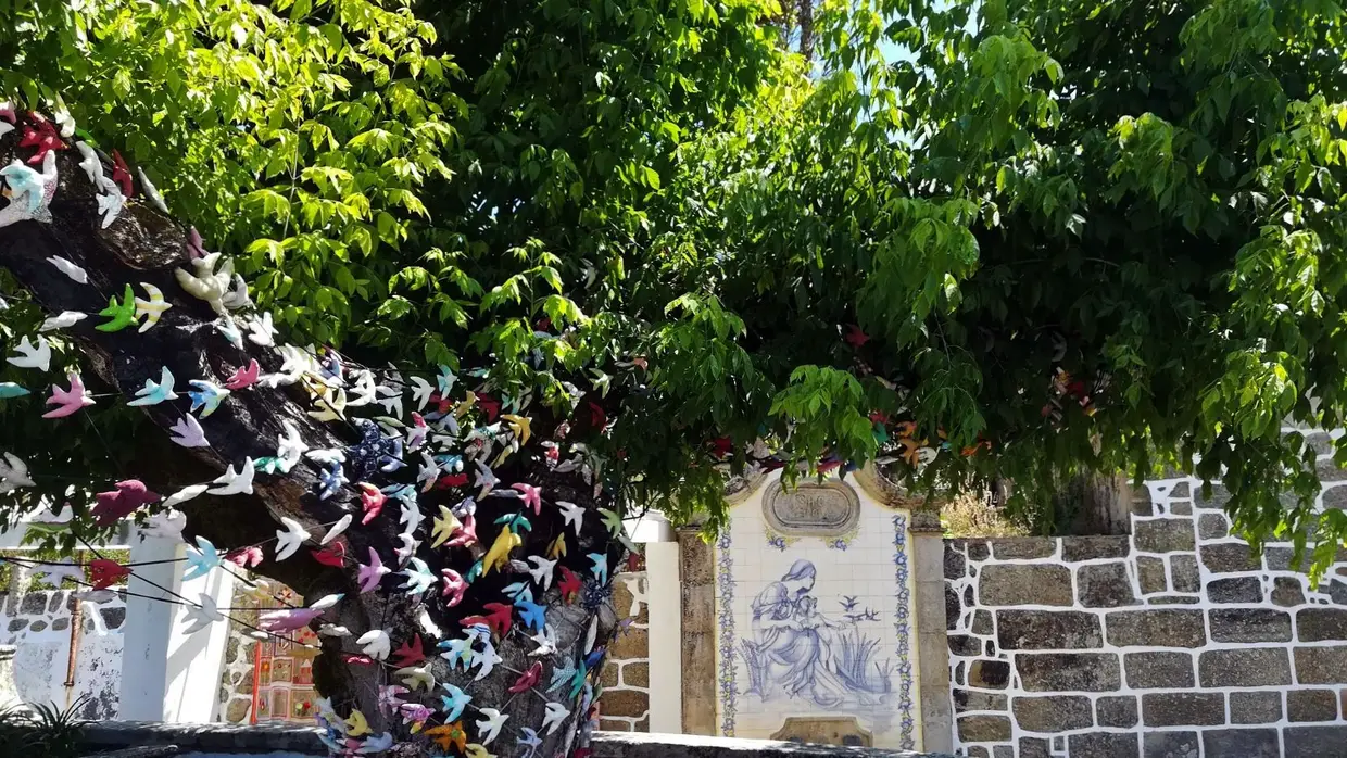 Julho de 2018, Vila Nova de Oliveirinha.