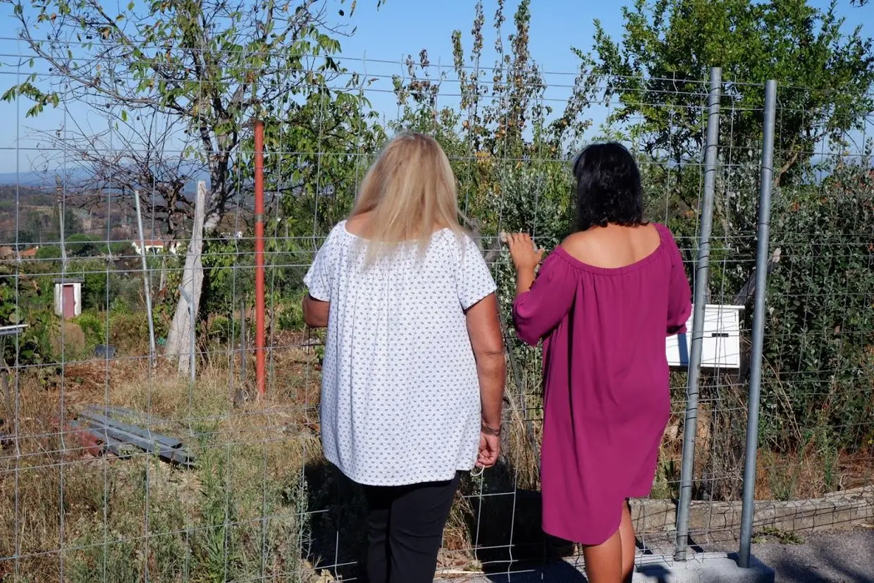 Antonieta e Alice Fonseca olham para o terreno vazio onde existiu a casa em que viviam e que foi destruída pelas chamas. Outubro de 2018, Vila Nova de Oliveirinha