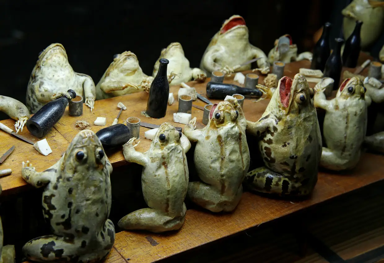 Museu das Rãs na Suíça. Fundado no século XIX por François Perrier, em Estavayer-le-Lac, tem mais de 100 rãs embalsamadas a encenar cenas da vida quotidinana - dos seres humanos.