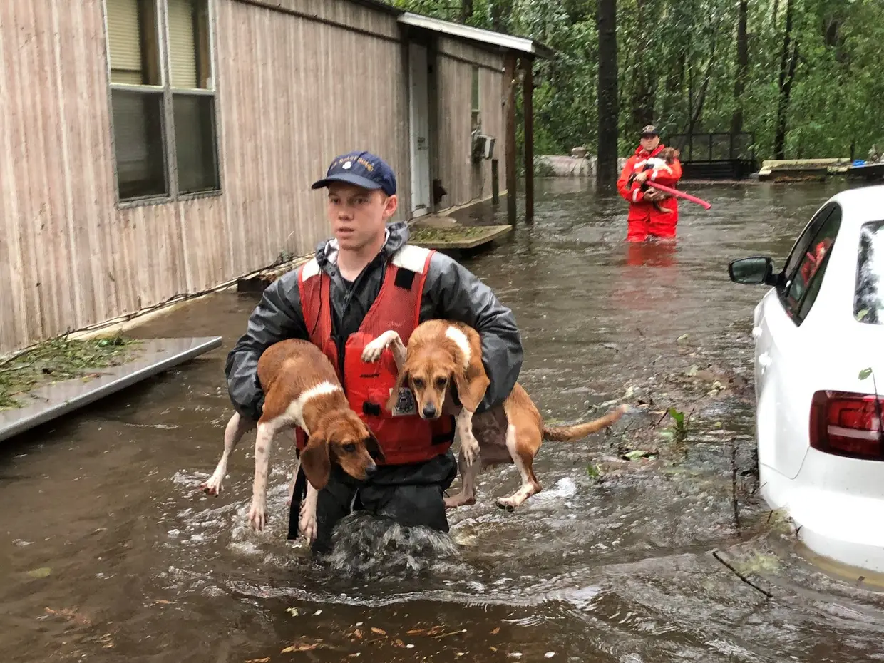 Voluntários salvam animais nas áreas inundadas pelo furacão Florence que atingiu os estados norte-americanos da Carolina do Norte e Sul.