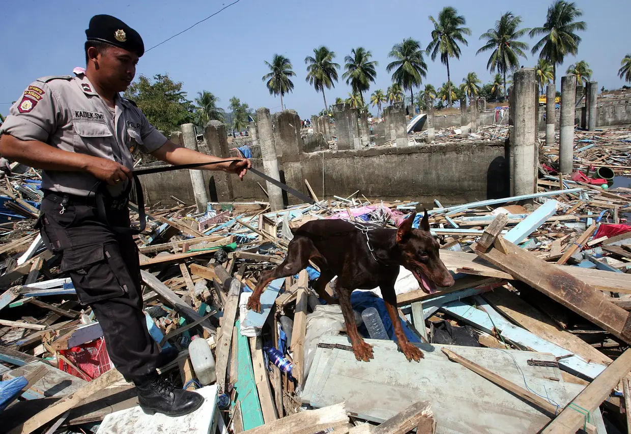 17 de julho de 2006, Indonésia - Um maremoto de magnitude 7,7 provocou um tsunami na costa da ilha de Java que matou 654 pessoas.
