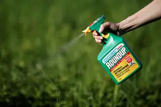 Cidades do mundo inteiro palco de marchas contra empresa Bayer-Monsanto