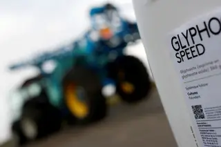 Menos de 4% dos alimentos testados a nível europeu revelam resíduos de glifosato