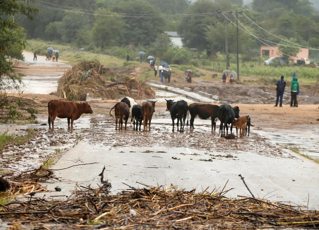 Chimanimani, Zimbabué