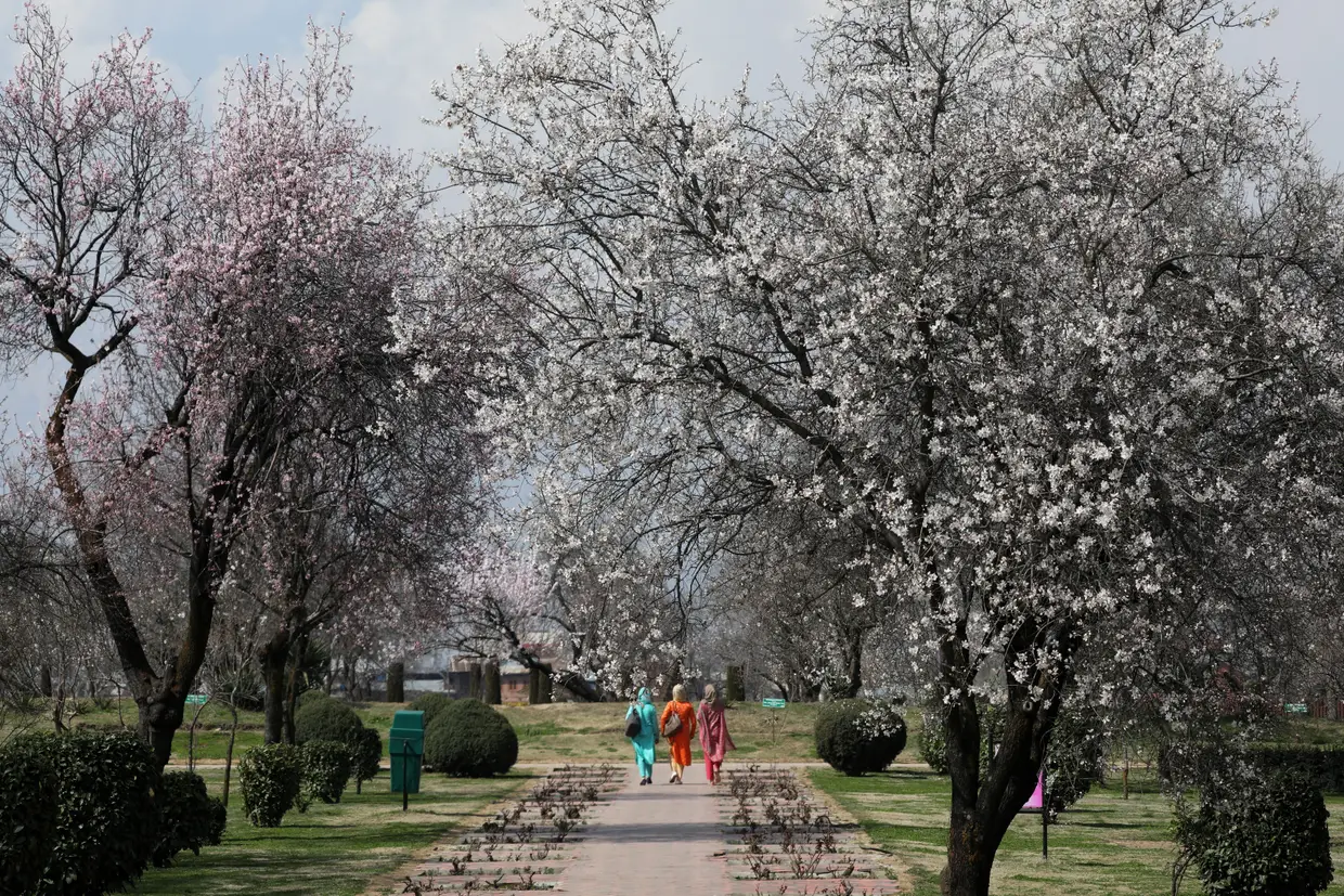 Srinagar, capital durante o verão do estado de Jammu e Caxemira, na Índia.