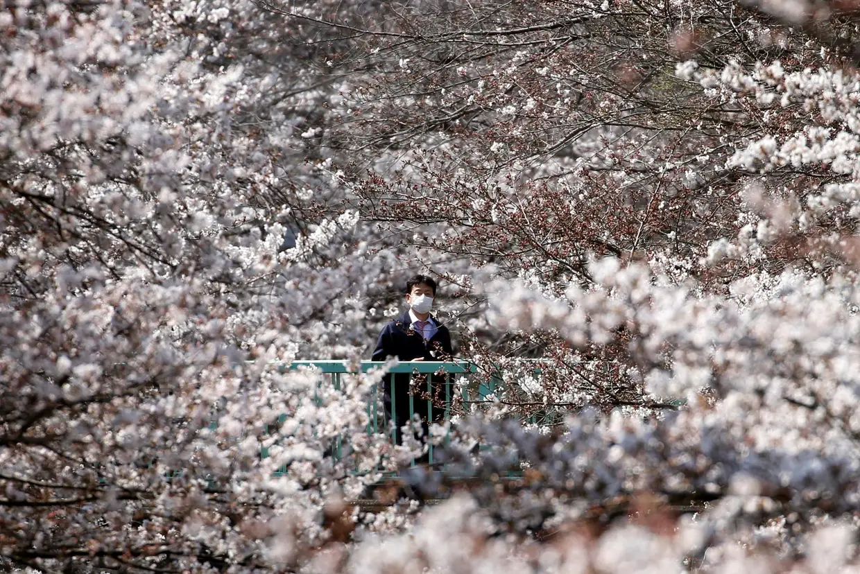 Primavera em Tóquio, Japão.