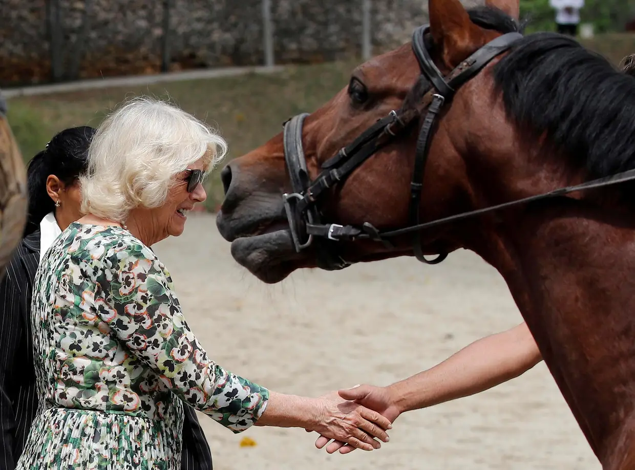 Camila, Duquesa de Cornwall, visita um centro equestre em Havana, Cuba.