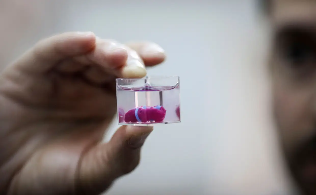 Uma equipa de investigadores israelitas conseguiu "imprimir" o primeiro coração em 3D com vasos sanguíneos.