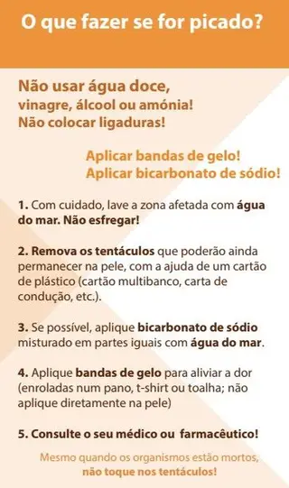 http://gelavista.ipma.pt/cuidados.html