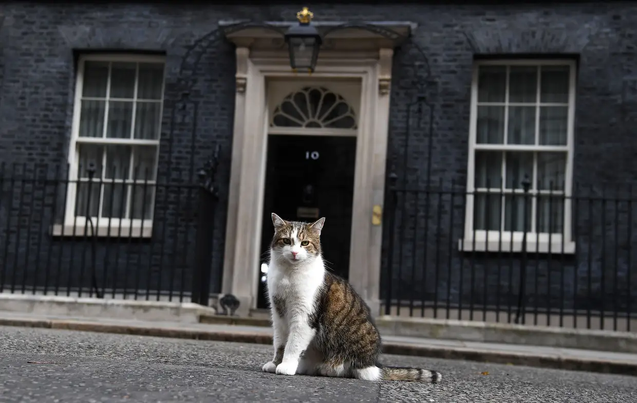 Larry, o garo de Downing Street, senta-se à porta do n.º 10, em Londres, Inglaterra.