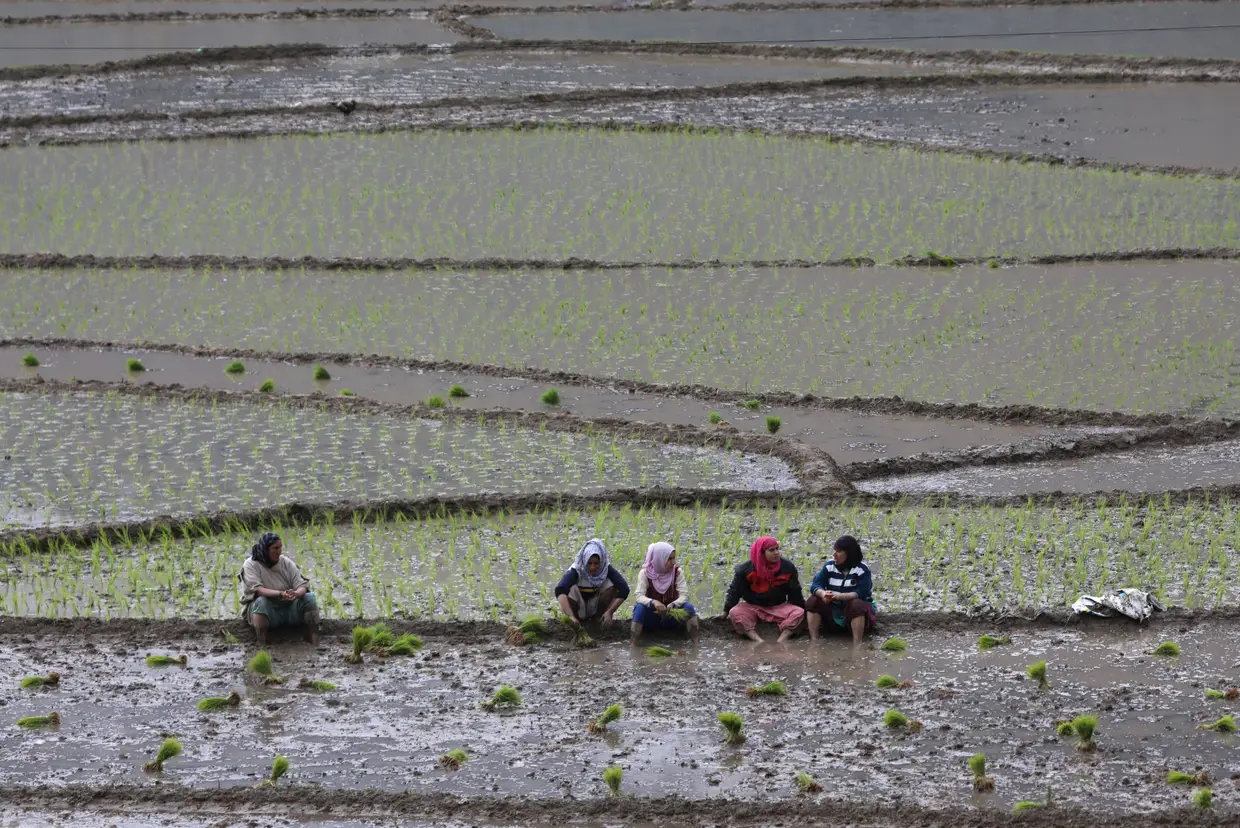 Agricultoras descansam num campo em Kangan, a cerca de 40 quilómetros de Srinagar, a capital de verão da Caxemira indiana.
