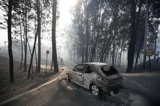 A estrada nacional 236-1 ficou conhecida como a estrada da morte.
