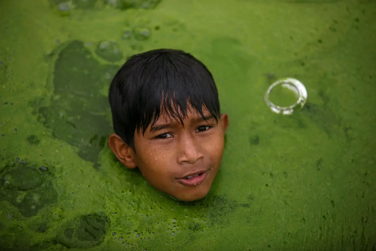 Um menino nado num lago coberto de algas, em Bhaktapur, Nepal.