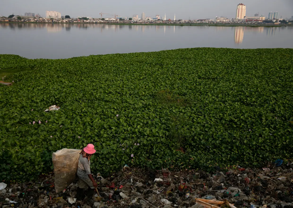 Lago Pluit, Jacarta