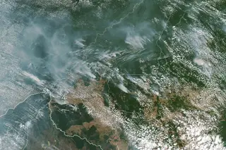 A NASA divulgou uma imagem aérea da Amazónia, no Brasil, onde foram detetados 72 mil focos de incêndio.