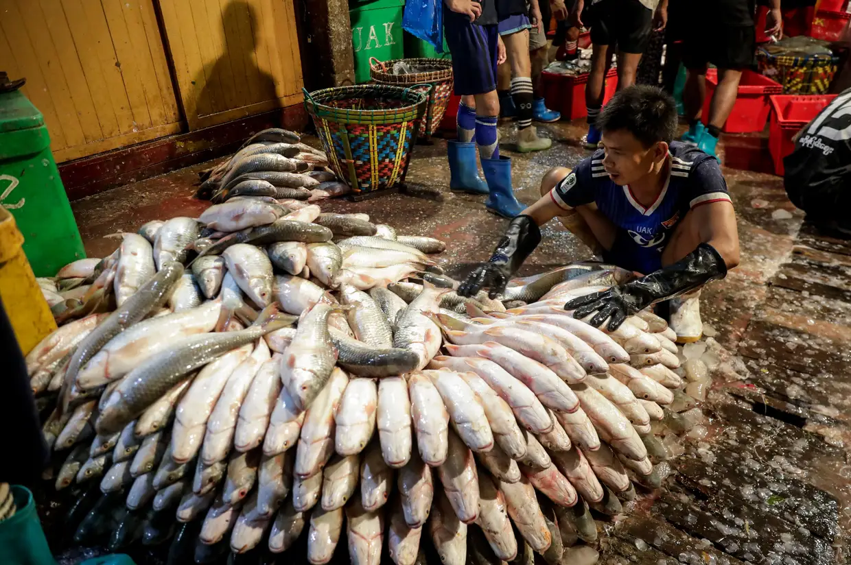 Um mercado de peixe, em Rangum, Myanmar.